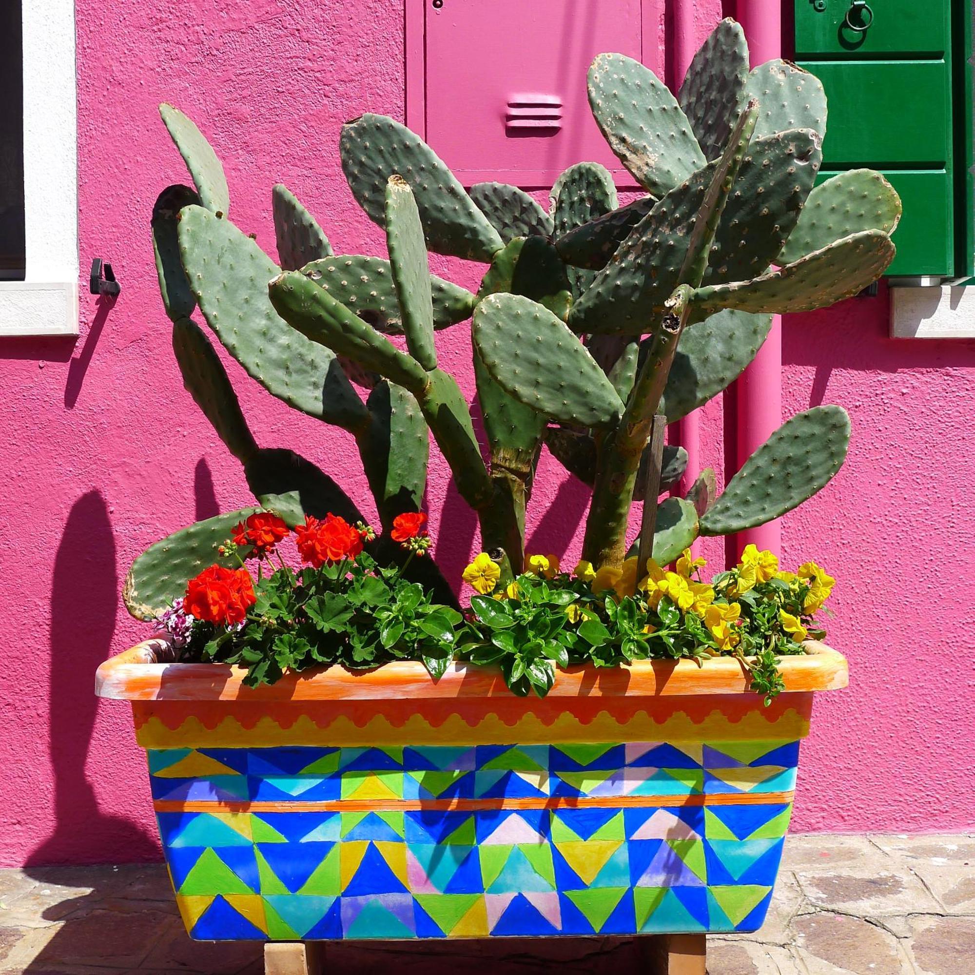 Night Galleria Holiday Home - Bed & Art In Burano - The Pink House מראה חיצוני תמונה